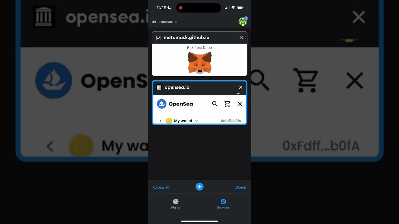 MetaMask wallet interface